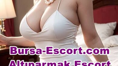 altiparmak escort bayanlar